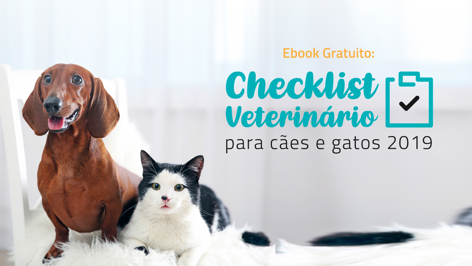 checklist veterinário para cuidados com a saúde de cães e gatos em 2019